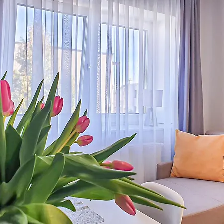 公寓 1 Bedroom Cozy In