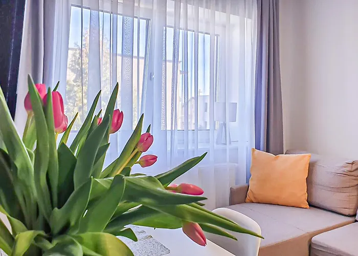 Apartament 1 Bedroom Gorgeous In